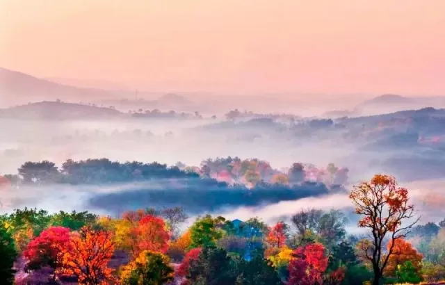 ,烏桕樹逐漸從青紅相間到滿樹紅遍。徜徉在烏桕樹林間,似完成了四季輪迴中的