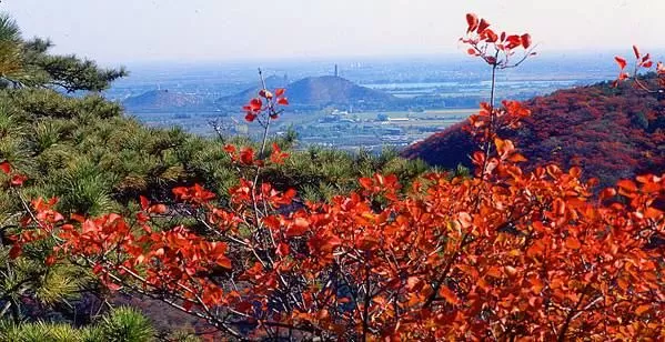 桃花沖