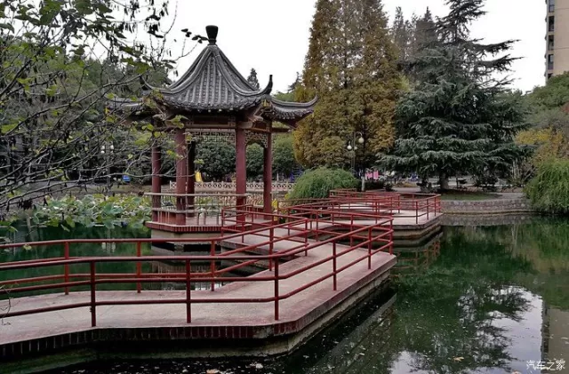 瑟,層林盡染的秋日勝景,感慨萬千!