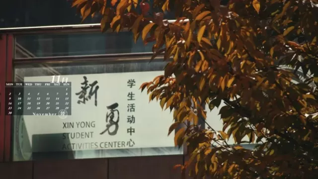 陽光在枝葉間隙里將秋日溫暖傾瀉而下帶來生