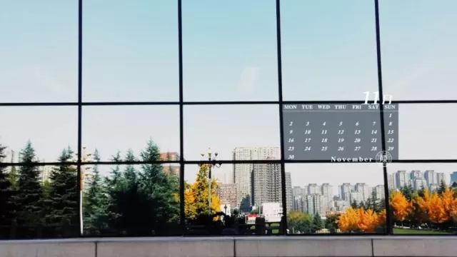 地的綠把一切色調調成金黃一夜透雨