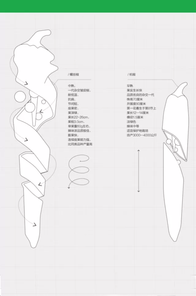 個片段之間所發生的事情是被快進跳過的,難以銜接上各種翻天覆地的變化。