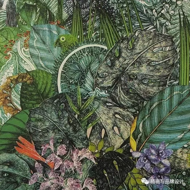 插畫丨她畫出細膩別致的人與自然,在倫敦居住七年,作品為這個國家帶著一絲神秘感