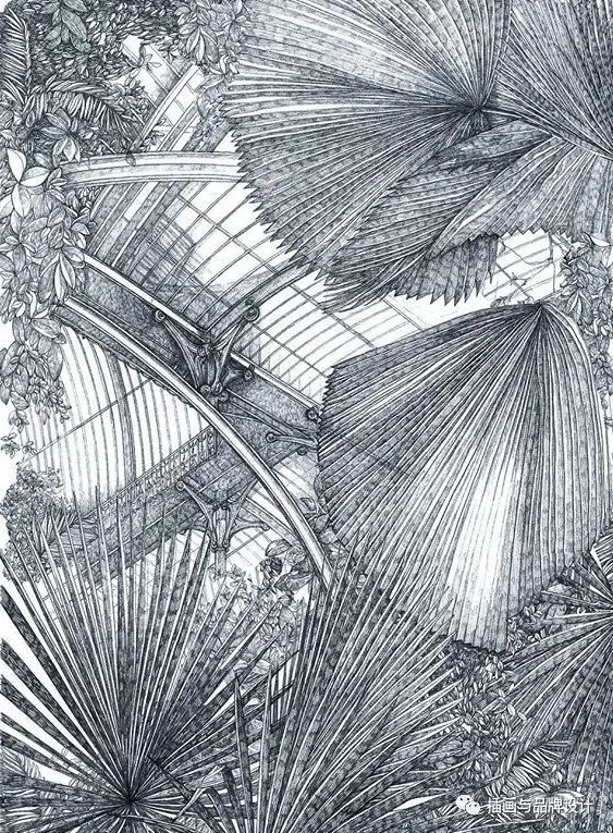插畫丨她畫出細膩別致的人與自然,在倫敦居住七年,作品為這個國家帶著一絲神秘感