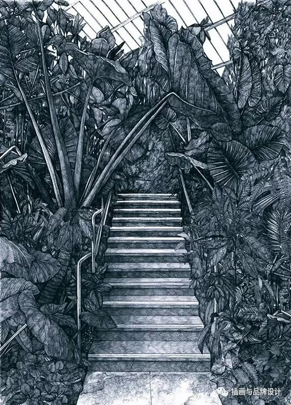 插畫丨她畫出細膩別致的人與自然,在倫敦居住七年,作品為這個國家帶著一絲神秘感