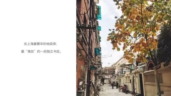 感光劑,能讓影像隨著時間的沉澱,慢慢浮現出來。鯨字號