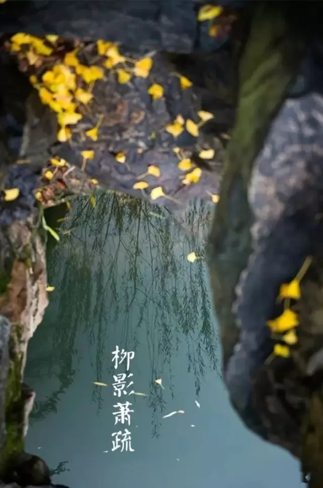 何處合成愁