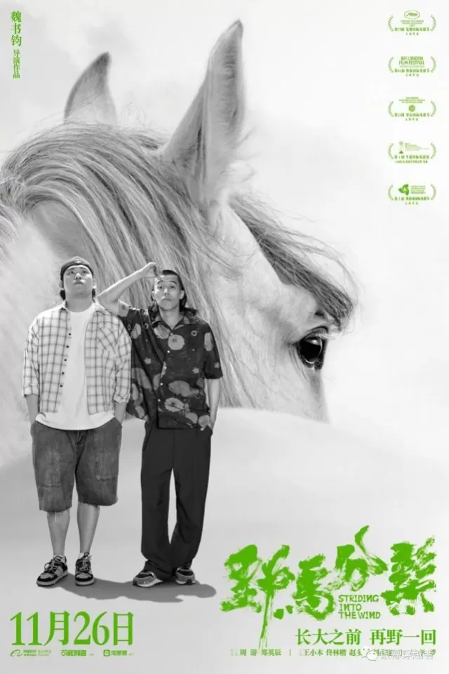 5億,同比上升20%,為進入11月以來票房最好的一周;本周上映新片中,《